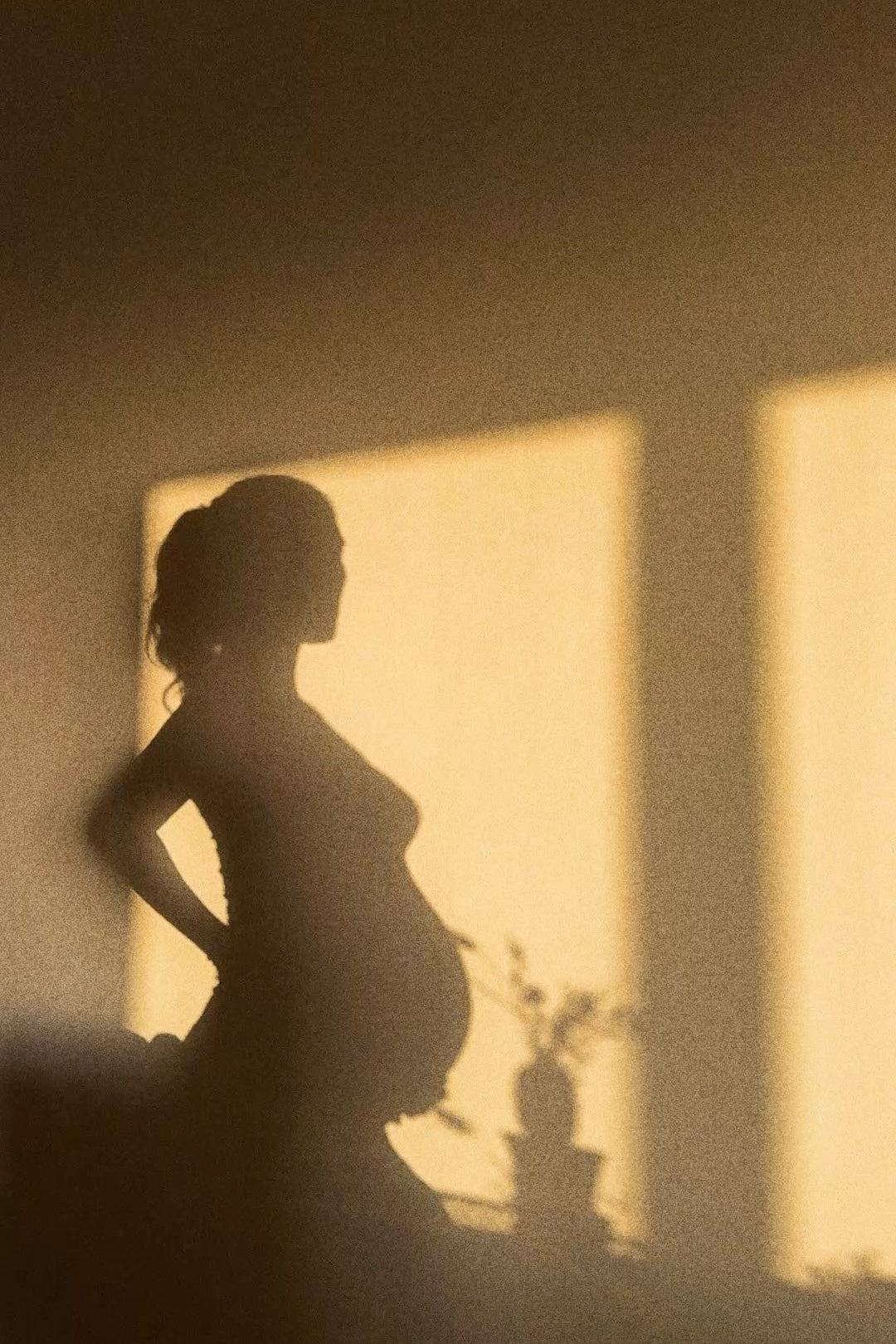 EverNatal vs Elevit: Which Prenatal Vitamin Is Best in Australia?